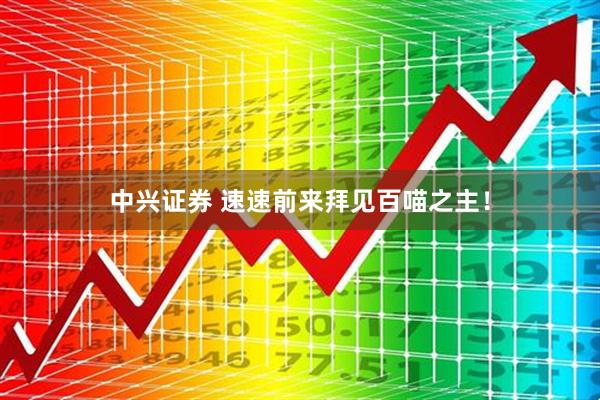 中兴证券 速速前来拜见百喵之主！