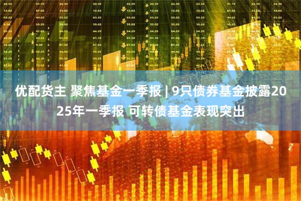 优配货主 聚焦基金一季报 | 9只债券基金披露2025年一季报 可转债基金表现突出