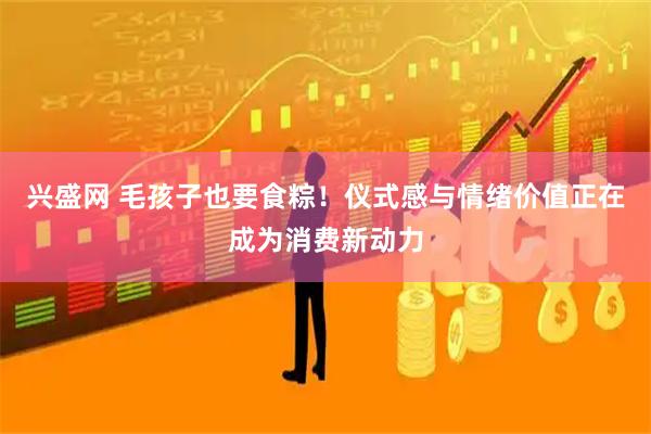 兴盛网 毛孩子也要食粽！仪式感与情绪价值正在成为消费新动力