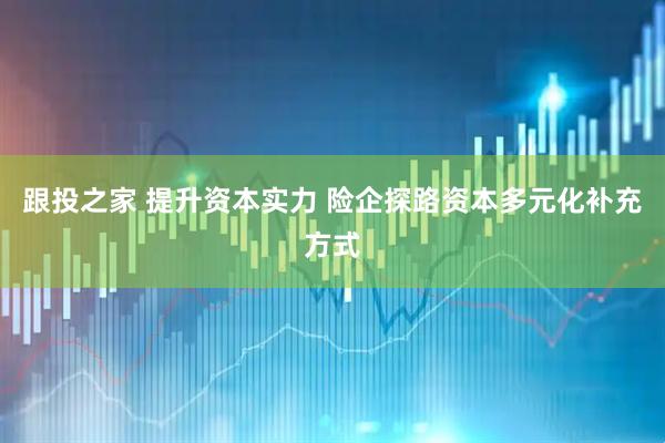 跟投之家 提升资本实力 险企探路资本多元化补充方式