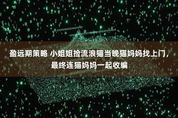盈远期策略 小姐姐捡流浪猫当晚猫妈妈找上门，最终连猫妈妈一起收编
