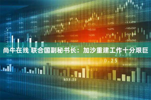 尚牛在线 联合国副秘书长：加沙重建工作十分艰巨