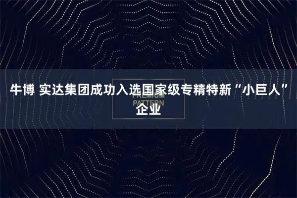 牛博 实达集团成功入选国家级专精特新“小巨人”企业