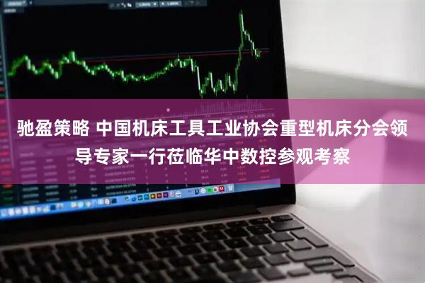 驰盈策略 中国机床工具工业协会重型机床分会领导专家一行莅临华中数控参观考察