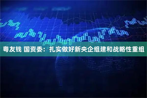 粤友钱 国资委：扎实做好新央企组建和战略性重组