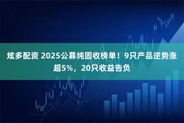 炫多配资 2025公募纯固收榜单！9只产品逆势涨超5%，20只收益告负